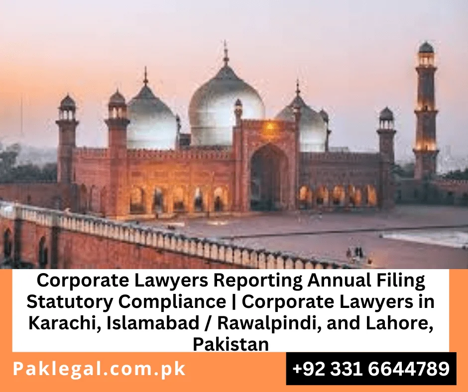 Corporate Lawyers Reporting Annual Filing Statutory Compliance