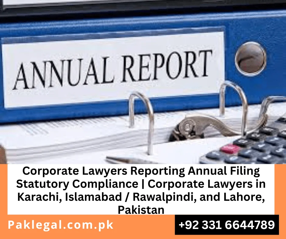 Corporate Lawyers Reporting Annual Filing Statutory Compliance
