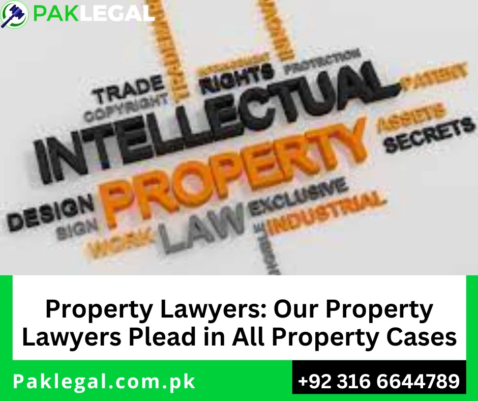 Property Lawyers: Our Property Lawyers Plead in All Property Cases